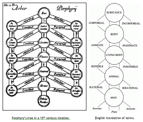 Porphyrian Tree: tree of Aristotle's categories from the 6th century. [via]