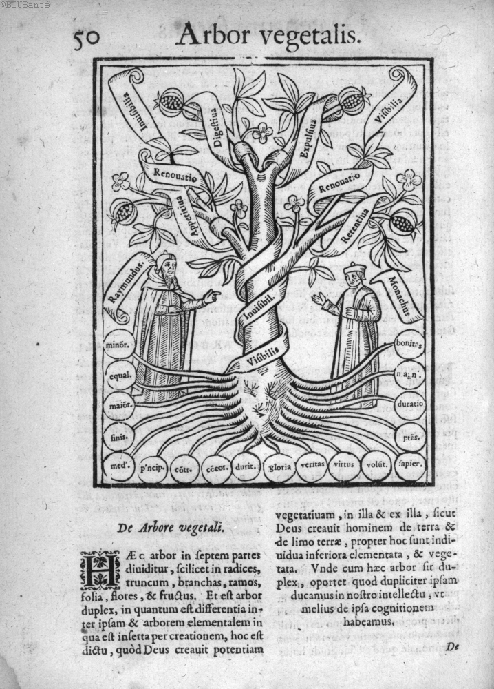 Arbor Vegetalis, originally thirteenth century, from sixteenth century. [via]