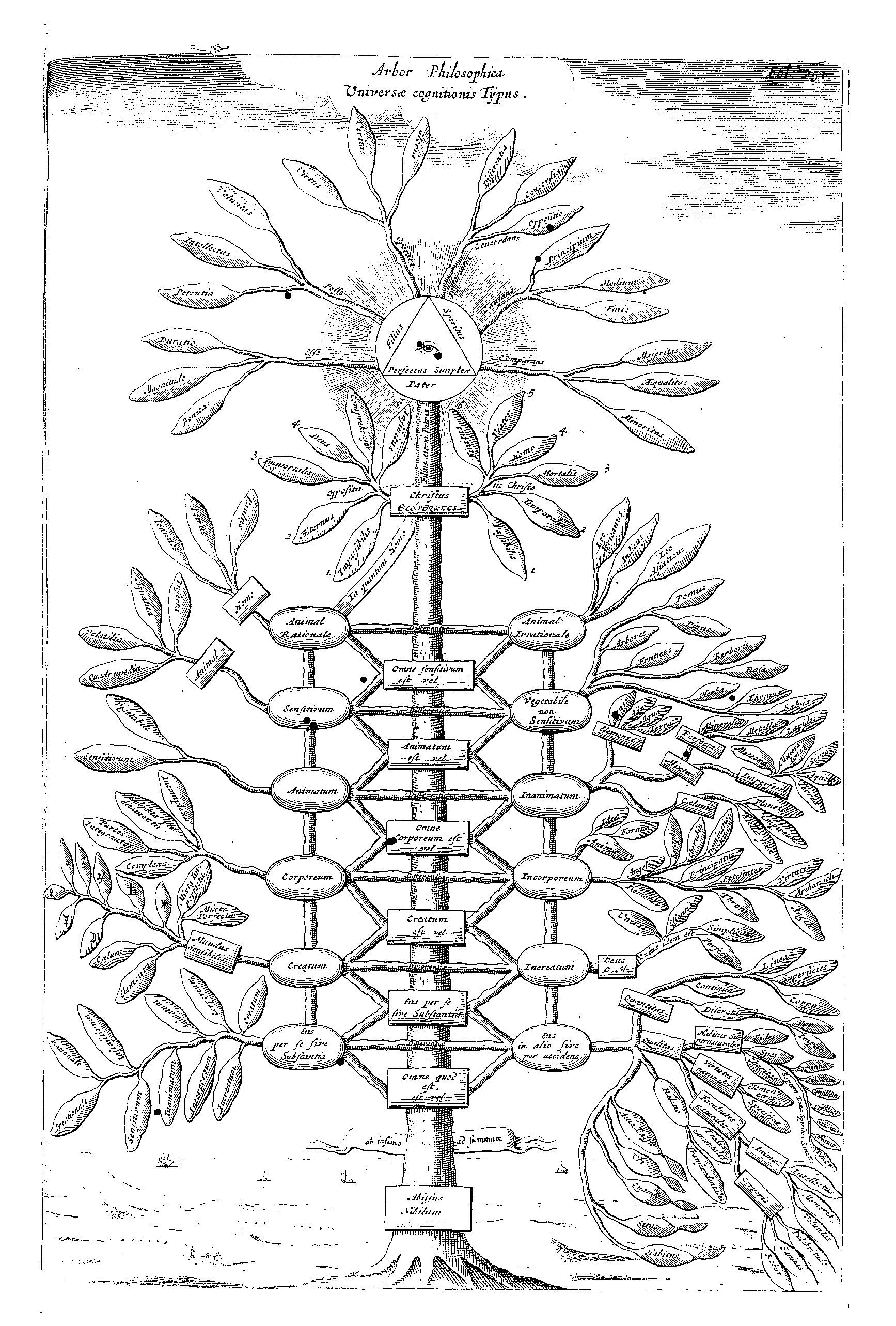 Kircher's Philosophical tree representing all branches of knowledge, from Ars Magna Sciendi (1669), p. 251. 
